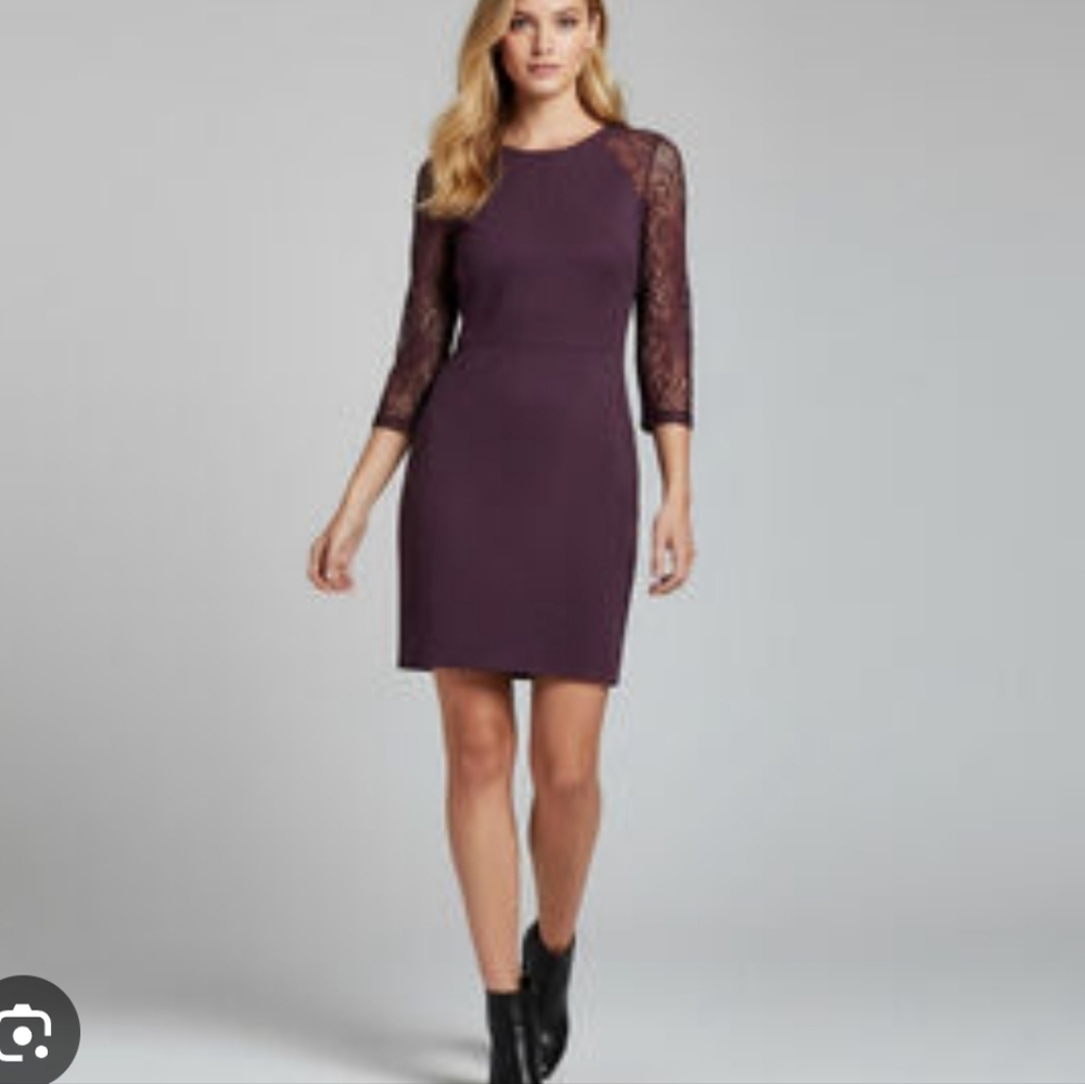 Express Plum Purple Lace-Sleeve Mini Dress Size Medium